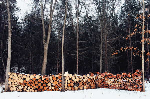 freshcut firewood piles in picton, ontario