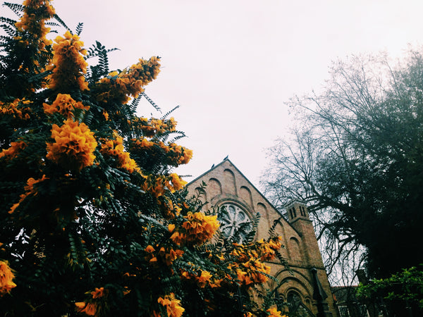 church in west london, with blooming orange flowers to the left